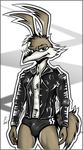  abs anthro brown_fur bulge canine chest_tuft clothing coyote fred_e_coyote fred_e_coyote_(character) fur hair jacket kcee leather leather_jacket looking_at_viewer male mammal muscles open_shirt pose shirt solo speedo standing swimsuit toned tuft white_fur 