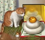  cat cat_focus dated food fruit kagami_mochi mandarin_orange matataku no_humans orange original reflection signature stare_down staring 