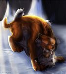 balls cum diego_(ice_age) diego_the_tiger feline female feral feral_on_feral ice_age male mammal nipples penetration penis pussy saber_teeth sabertooth sex sheath shira_(ice_age) shira_the_tiger smilodon straight tai_lung_(artist) vaginal vaginal_penetration 