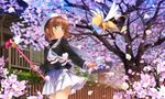  2013 brown_hair card_captor_sakura cgcollection cherry_blossoms clamp flowers green_eyes hat kero kinomoto_sakura moonknives mutuki petals possible_duplicate seifuku twintails 