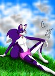  anthro box canine cute fox fur girly hair hi_res mammal nature pawns purple_fur red_eyes solo tygar_tiger white_hair 