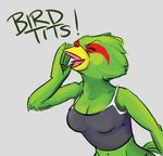  avian avian_(starbound) beak bird breasts feathers female starbound text unknown_artist video_games 