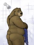  balls bear black_nose blue_eyes butt chubby cute eyebrows flaccid grizzly_bear kronebear kronexfire looking_at_viewer male mammal overweight penis shower solo teeth towel 