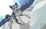  balls canine dog feral ginga_densetsu_weed male mammal metalfox weed_(character) 