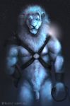  anthro armor biceps blue_eyes blue_fur blue_hair bondage_gear circumcised feline flaccid fur hair harness humanoid_penis leather lens_flare lion male mammal muscles nipples nude pecs penis pose snow solo standing vehementcreations whip white_fur 