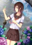  bird brown_hair flower highres hydrangea nachi_(heikou_sekai) original power_lines rain red_eyes school_uniform serafuku solo telephone_pole umbrella 