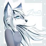  anthro blue_eyes blue_fur bust canine clothing female fox fur hair mammal markings multi-colored_hair plain_background shirt solo spots taykoe white_background white_fur white_hair zhai 