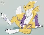  3_toes barefoot black_claws breasts canine claws digimon digitigrade female fersir fox hand_in_crotch hindpaw looking_at_self looking_down mammal panties panties_aside pawpads paws presenting pussy pussy_juice renamon sitting soles solo toe_claws toes underwear 