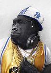  braids gorilla hat headphones jersey jewelry male photomanipulation piercing primate simian yulia_malanina 
