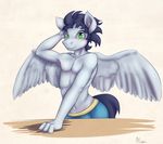  abs alasou anthro anthrofied blue_hair equine female friendship_is_magic green_eyes hair hand_in_head horse looking_at_viewer male mammal my_little_pony navel pegasus pony soarin_(mlp) solo underwear wings wonderbolts_(mlp) 