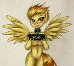  anthro breasts brown_eyes collar cutie_mark equine female friendship_is_magic glowing hair horse kairaanix looking_at_viewer mammal my_little_pony navel nipples nude orange_hair pegasus plain_background playstation_vita pony psp pussy solo spitfire_(mlp) standing two_tone_hair wings wonderbolts_(mlp) 