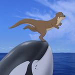  blue_eyes cetacean cloud clouds detailed_background eyes_closed feral fur mammal marine mustelid nude orca otter outside sea sky smile tasuric water whale 