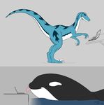  biped blue_eyes blue_skin cetacean claws computer dinosaur feral laptop mammal marine orca plain_background raptor scalie smile tasuric tongue tongue_out water whale 