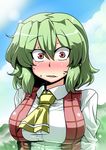  ascot blue_sky blush cloud commentary day green_hair highres kazami_yuuka looking_at_viewer open_clothes open_mouth open_vest red_eyes shirt shocked_eyes sky solo sweat sweating_profusely touhou tsuki_wani upper_body vest wide-eyed 