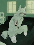  bandage bed blood blush canine detailed_background fur green_eyes in_bed legless male mammal nude one_arm penis sansh solo uncut white_fur 