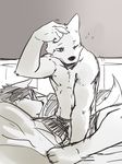  bed canine couple guang_yang kemono male mammal muscles sleeping topless underwear waking_up wolf 