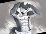  anthro biceps black_nose blush canine drying frown fur grey_fur guang_yang looking_at_viewer male mammal muscles nipples pecs pose solo standing topless towel water wet white_fur wolf 