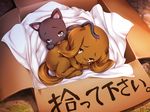  anko_(nikukyun_ongaeshi) box cat chako_(nikukyun_ongaeshi) dog game_cg nikukyun_ongaeshi no_humans outdoors 