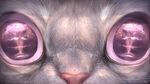  cat close-up espurr explosion feline fur mammal nintendo pink_eyes pok&#233;mon rhyu video_games white_fur 