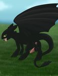  balls black_dragon black_scales butt dragon erection feral grass green_eyes how_to_train_your_dragon looking_at_viewer looking_back male night_fury open_mouth penis presenting presenting_hindquarters scalie sky solo tongue tongue_out toothless vonredwing 
