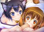  1boy 2girls animal_ears anko_(nikukyun_ongaeshi) bell black_hair blue_eyes blue_hair blush brown_hair cat_ears censored chako_(nikukyun_ongaeshi) collarbone fellatio game_cg multiple_girls nikukyun_ongaeshi oral orange_eyes penis personification pov watching 