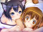  1boy 2girls animal_ears anko_(nikukyun_ongaeshi) bell black_hair blue_eyes blue_hair blush brown_hair cat_ears censored chako_(nikukyun_ongaeshi) collarbone fellatio game_cg multiple_girls nikukyun_ongaeshi oral orange_eyes penis personification pov watching 