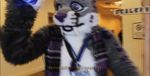  2013 ambiguous_gender bioshock craftyandy feline fur fursuit lynx silly 