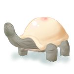  goma_(gomasamune) nipples no_humans original shell simple_background turtle what white_background 