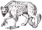  bird canine cat_tail chimera dma feral flying_squirrel hybrid hyena male mammal patagium predator quadropedal saliva spotted_hyena talons wolf xalvador 