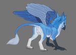  avian back_turned balls beak blue_eyes blue_feathers blue_fur butt feral fur gryphon lion_tail looking_at_viewer looking_back male nude pira presenting presenting_hindquarters raised_tail sheath simple_background smile solo white_fur wings 