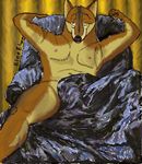  black_nose blue_gray_eyes brown_fur bulge canine chair covering coyote curtains fur ku&#039;o_coyote male nude recliner sheet 