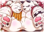  blush canine chubby clothing fur looking_at_viewer male mammal moobs necklace nipples open_shirt pawpads shirt teeth topless white_fur zapapanda 
