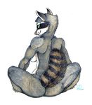  2014 anthro back_turned breasts butt female fur gravewalker green_eyes grey_fur looking_at_viewer looking_back mammal nude plain_background raccoon raised_tail side_boob sitting smile solo spread_legs spreading stripes white_background 