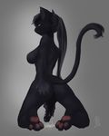  3_toes anthro bilkaya black_penis breasts bust butt cat dickgirl digitigrade erection feline herm hindpaw intersex invalid_color mammal masturbation naaby nipples nude pawpads paws penis petit_zhu ponytail pussy soles solo toes 