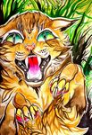  cat clara_(artist) feline fur green_eyes mammal solo yellow_fur 
