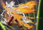  baggy_pants bamboo blurry boots brown_footwear burnt_clothes depth_of_field fire flame fujiwara_no_mokou hair_ribbon highres long_hair open_mouth outstretched_hand pants phoenix_wings ponytail qkaqlenfrl red_eyes ribbon running silver_hair tail touhou tress_ribbon very_long_hair wings 