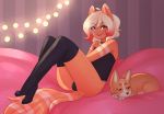  anthro bed blue_eyes bulge butt canine cat clothed clothing corgi crossdressing dog feline feral heterochromia inside legwear lights looking_at_viewer lucien_(lulucien) lulucien male mammal open_mouth socks solo thigh_socks yellow_eyes 