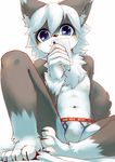  bulge cat chest_tuft cub feline fur hair kemoisumi looking_at_viewer male mammal navel nipples phone pixiv plain_background sitting smile solo tuft underwear white_background white_hair young 