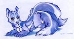  blue_theme body_markings breasts canine cute female fox harag looking_at_viewer mammal markings solo 