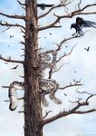  ambiguous_gender avian bird crow feline leopard looking_up mammal nude sitting sky snow_leopard tess_garman tree whiskers 