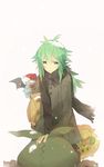  alternate_costume bad_id bad_pixiv_id gen_5_pokemon green_eyes green_hair hat kashi_(number) n_(pokemon) pokemon pokemon_(creature) pokemon_(game) pokemon_bw santa_hat scarf trubbish whimsicott woobat 