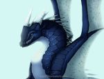  blue_eyes blue_scales dragon english_text horn scales simple_background spines text watermark wings zagiir 