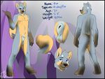  anthro balls blue_eyes butt canine dog fox fur hair husky hux hybrid looking_at_viewer male mammal model_sheet nipples nude penis pose rileysockfoxy sheath smile solo standing 