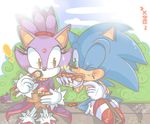  blaze_the_cat chibiirose chili_dog eating feline food hedgehog mammal sega sitting sonic_(series) sonic_the_hedgehog sushi 