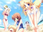 4girls :o =_= ^_^ age_difference animal_ears armpits arms_up bangs beach bent_over bikini blonde_hair blue_eyes blue_hair blue_swimsuit breasts brown_hair buried casual_one-piece_swimsuit cleavage closed_eyes cloud constricted_pupils crab crustacean day dog_ears dog_tail fisheye food fox_ears fox_tail fruit game_cg green_eyes hair_intakes hair_ribbon hairband hands_on_own_knees happy haruhi_sarasa holding holding_food holding_fruit inakoi kamishiro_mutsuki kujou_hiina large_breasts lens_flare looking_at_another looking_at_viewer looking_down midou_chihiro multiple_girls navel nervous ocean on_ground one-piece_swimsuit one_side_up outdoors parted_bangs purple_bikini red_eyes ribbon sand_castle sand_sculpture sandals seashell seiza shell short_hair sideboob sidelocks sitting sky small_breasts standing surprised sweatdrop swimsuit tail taut_clothes tenmaso tress_ribbon water watermelon white_hair white_swimsuit yagami_kijuurou 