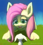  angel_(mlp) duo equine fangs female feral fluttershy_(mlp) friendship_is_magic fur green_eyes hair horse lagomorph long_hair mammal my_little_pony open_mouth outside pink_hair pony rabbit raikoh-illust yellow_fur 