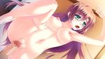  breasts brown_hair censored green_eyes highres imminent_sex imminent_vaginal kouichi_eiji leg_up long_hair medium_breasts nipples nude original penis pussy pussy_juice 