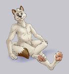  amethystlongcat anthro arctic_fox canine char_rikev fox fur grey_eyes looking_at_viewer male mammal nude pawpads paws plain_background smile solo toes white_fur 