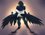  anthro avian back back_turned barefoot beak biceps bird black_body black_feathers black_skin blue_eyes boxers butt claws clothing crow feathers hindpaw lapres looking_at_viewer looking_back male muscles open_mouth open_shirt paws pose shirt solo standing talons toe_claws tongue underwear undressing winged_arms wings 