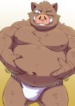  2019 anthro belly boar brown_fur clothing fundoshi fur humanoid_hands japanese_clothing male mammal moobs navel nipples one_eye_closed overweight overweight_male porcine shirosaru simple_background solo underwear wink 